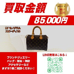 Louis Vuitton モノグラム スピーディ25